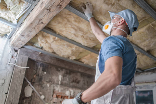 Best Insulation Installation Services in Granvle, IL